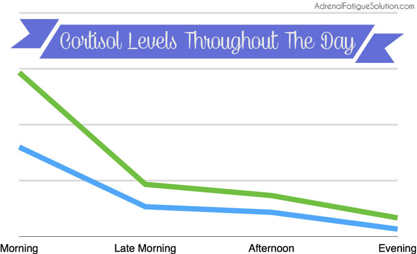 how-do-cortisol-levels-change-throughout-the-day