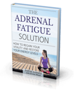 The Adrenal Fatigue Solution
