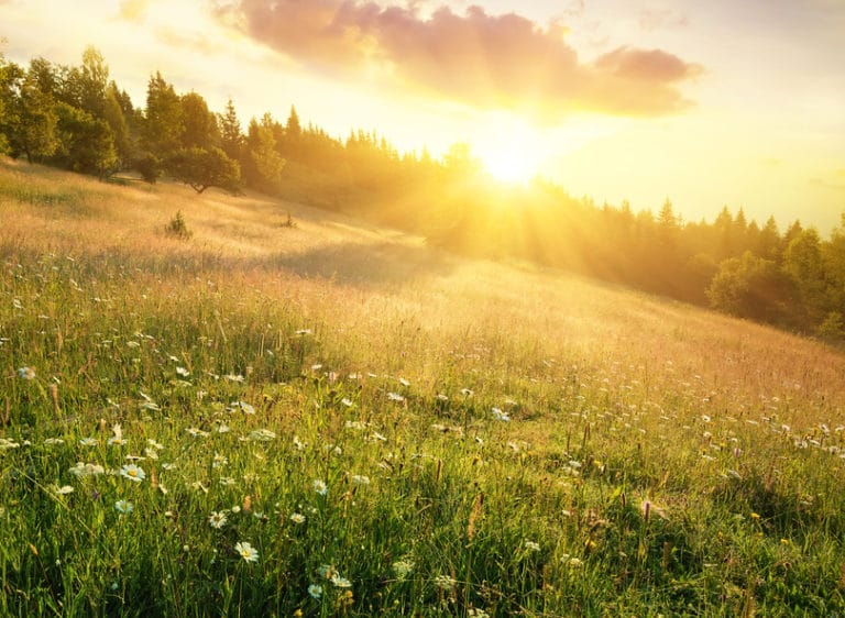 How Light Therapy Can Keep You Happy & Healthy In The Winter