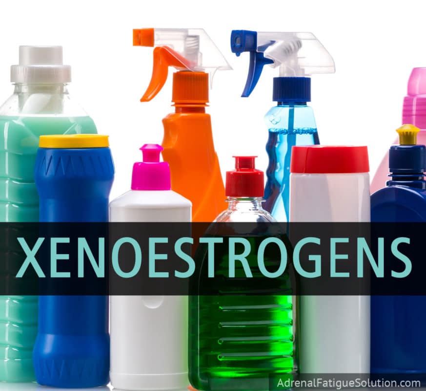 Xenoestrogens What Are They & Why Should You Avoid Them?