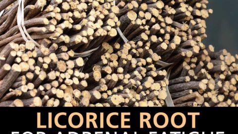 Licorice root for treating adrenal fatigue