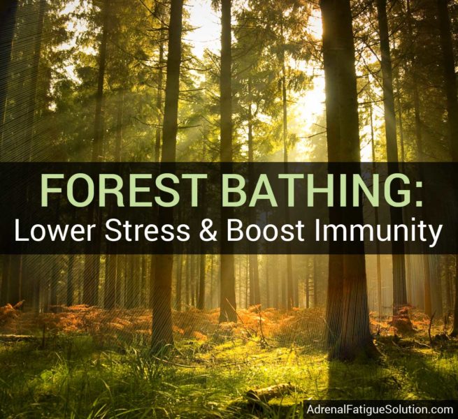 Forest bathing can lower your stress and boost immunity